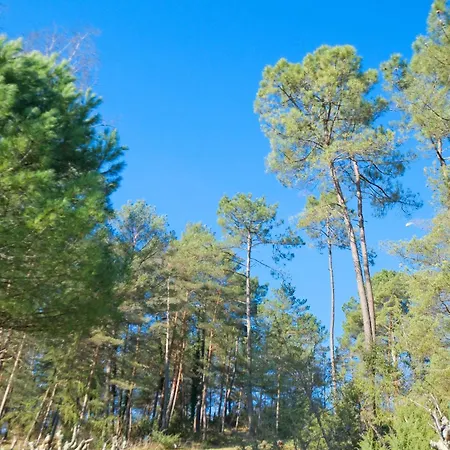 בית נופש Puy De Pinou Agonac
